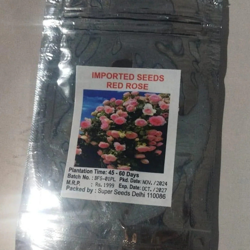 Elegant Climbing Rose Flower Seeds