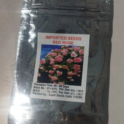 Elegant Climbing Rose Flower Seeds